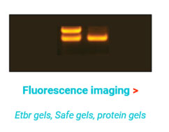 Gel Documentation And Chemiluminescence Imaging Product 주 수림사이언스